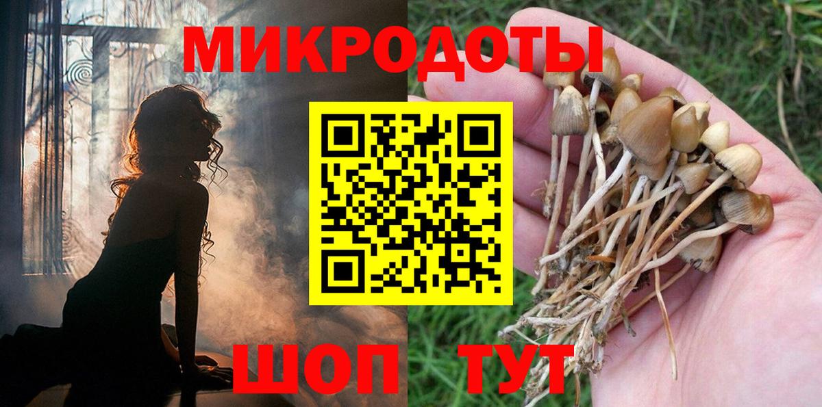 Галлюциногенные грибы GOLDEN TEACHER  Вход с VPN  Электросталь  Галлюциногенные грибы MAGIC MUSHROOMS 