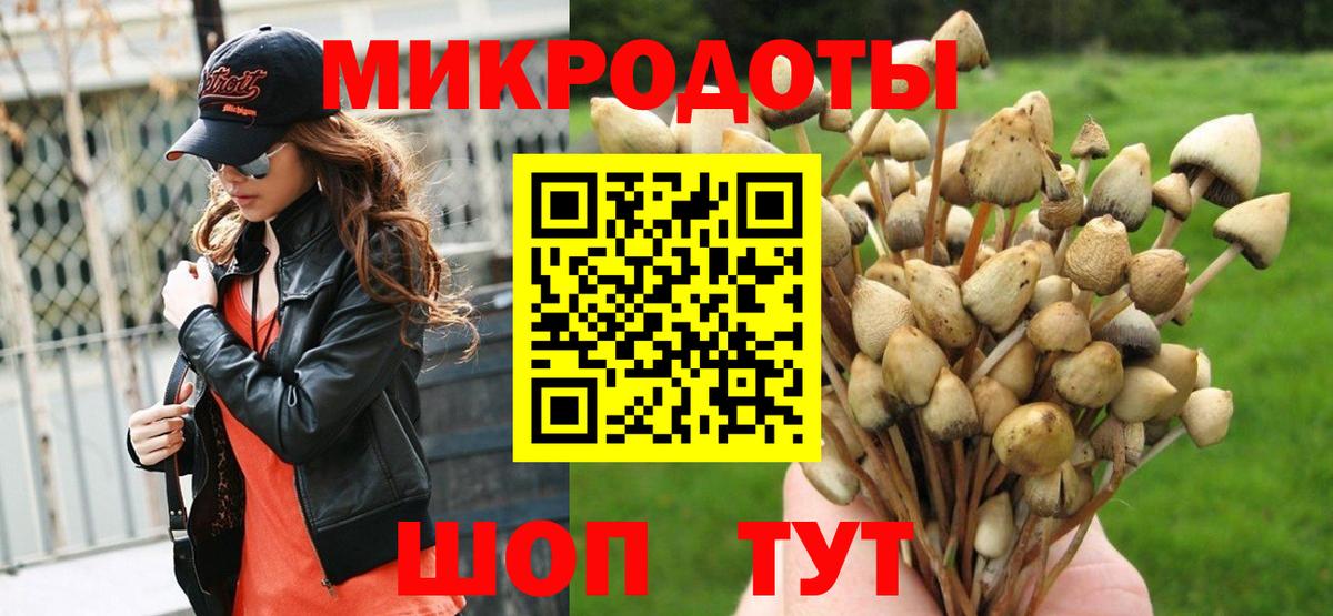 Псилоцибиновые грибы Cubensis Электросталь